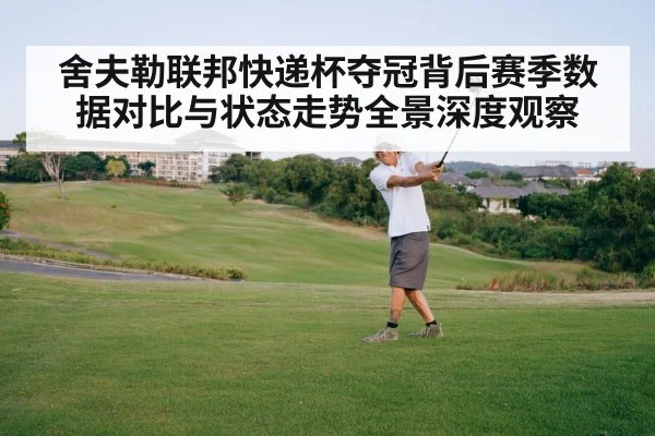 舍夫勒联邦快递杯夺冠背后赛季数据对比与状态走势全景深度观察